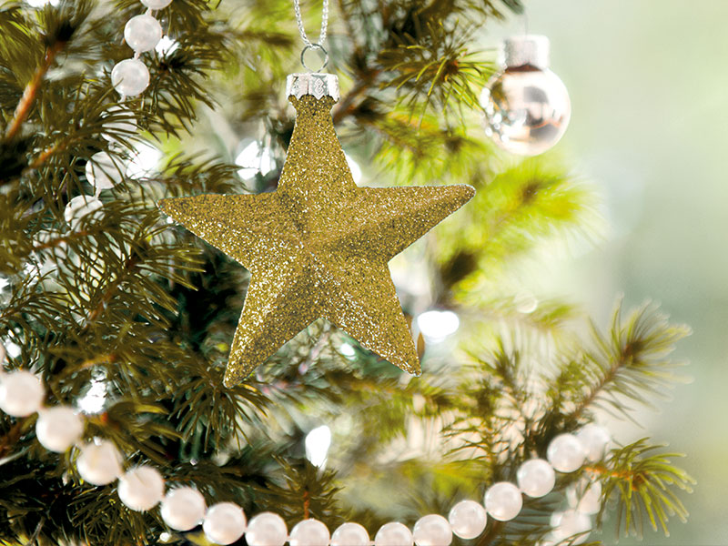 Genussangebote zu Weihnachten