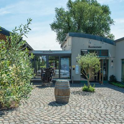 Weinkeller und das Atelier mit Garten-Ambiente in Erkrath-Hochdahl